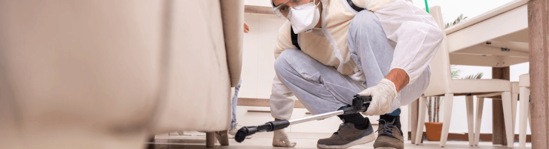 Dedetização de Insetos Voadores  24 HORAS